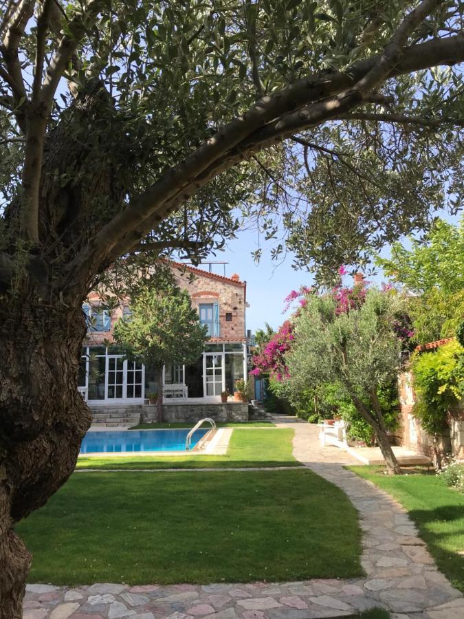 Alacati Zeytin Konak Hotel ภายนอก รูปภาพ