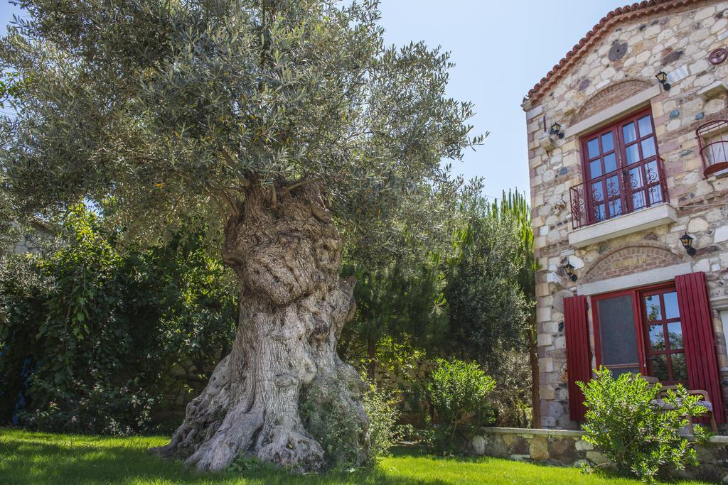 Alacati Zeytin Konak Hotel ภายนอก รูปภาพ